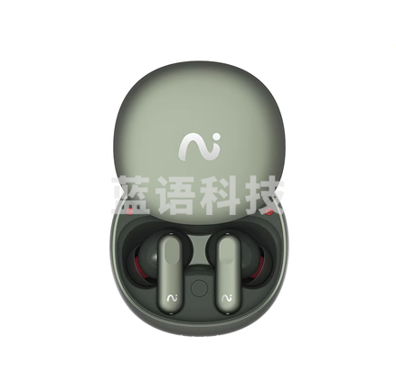 科大讯飞(iFLYTEK)iFLY BUDs Nano+ 录音降噪会议耳机无线蓝牙耳机 主动降噪 入耳式 超长续航 录音转文字(流光银、沁光绿可选)