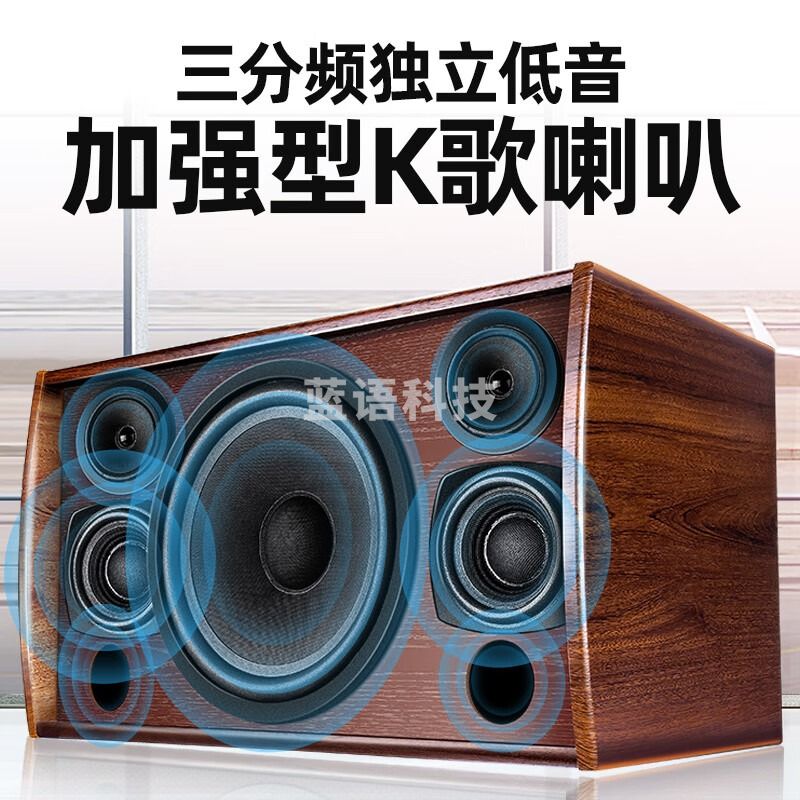 山水 sansui DM3 家庭影院 ktv 音响组合套装 功放音响组合 卡拉ok唱歌设备 升级款家庭K歌套装