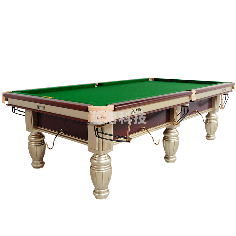 星牌(XING PAI)台球桌标准桌球台金腿家用台球桌中式黑八球厅球房俱乐部XW119-9A 【灯+自动回球器】+全套配件