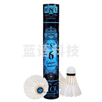 亚狮龙(RSL)羽毛球比赛训练稳定耐打RSL6号鸭毛77速12只装/桶