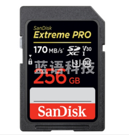 闪迪(SanDisk)256GB  170M/s V30 4K  SD存储卡