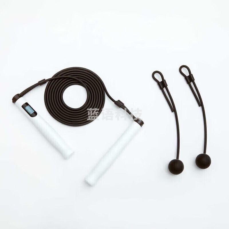 迪卡侬 蓝牙智能跳绳健身专用运动训练电子计数EYS智能跳绳—白色2901498