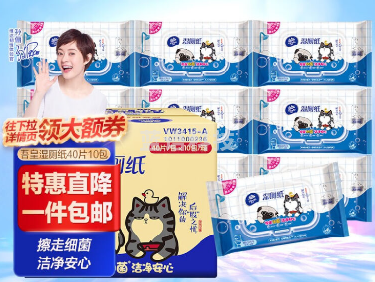 维达(Vinda)湿厕纸家庭装私处专用便携清洁湿巾可搭配卷纸卫生纸 擦屁屁专用 40片*10包(400片)