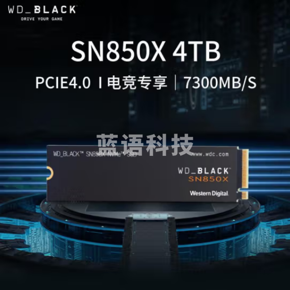西部数据（Western Digital）4T 笔记本台式机SSD固态硬盘 M.2接口（NVMe协议） WD_BLACK SN850X PCIe Gen4 WDS400T2X0E-00BCA0