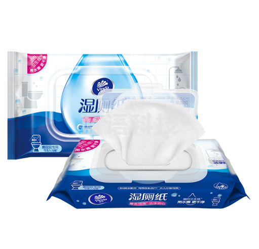 维达(Vinda)湿厕纸擦走细菌 厕纸湿纸巾家庭装40片*10包 洁厕湿巾 清洁湿纸巾