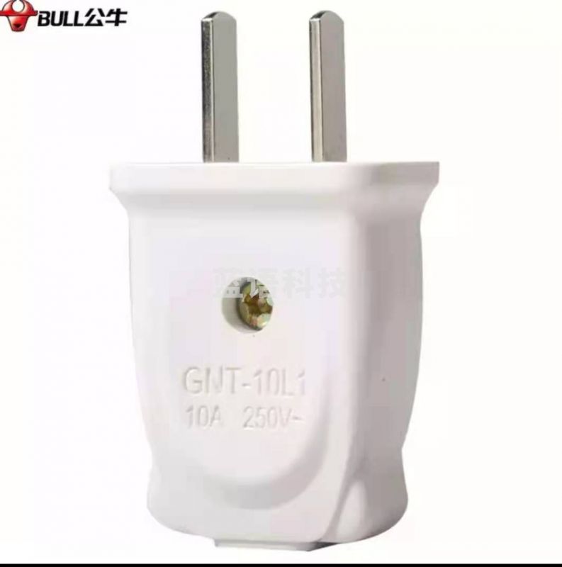 公牛插头10A插头两极两项两叉两孔220V插座头电源插头 2脚插头扁头T-10L1
