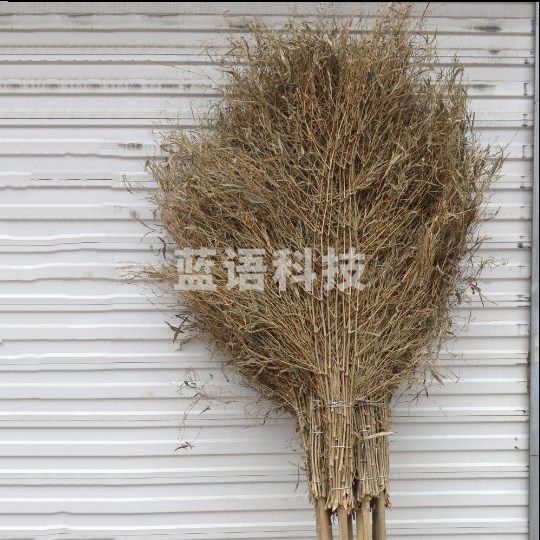 巨联(JULIAN)Z165 竹扫把 (.029)