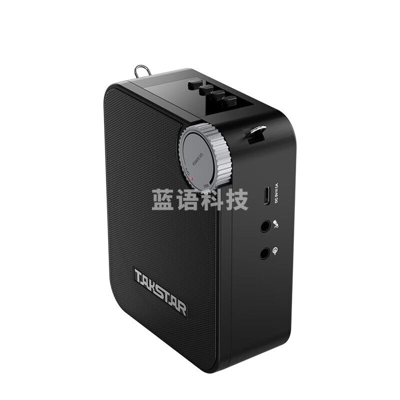 得胜 (TAKSTAR) E500W 无线扩音器 教学培训导游促销会议扩声喊话喇叭大功率小蜜蜂麦克风 (双手持版)