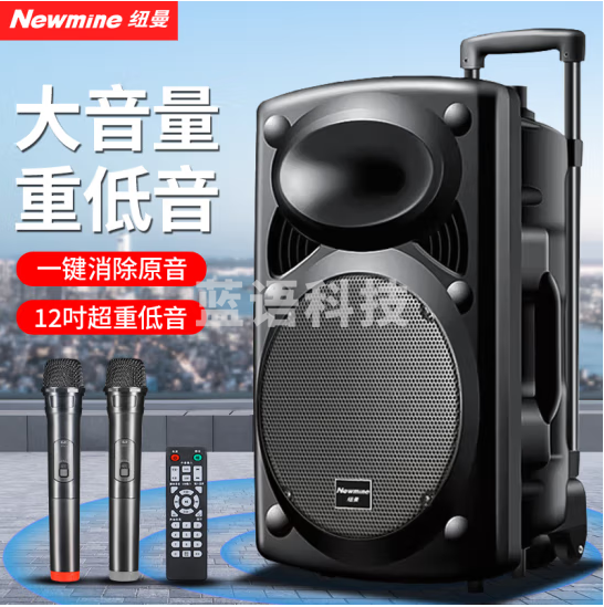 纽曼B12广场舞音响12英寸户外大音量蓝牙拉杆音箱大功率便携式移动演出k歌低音炮地摊摆摊喇叭双麦版