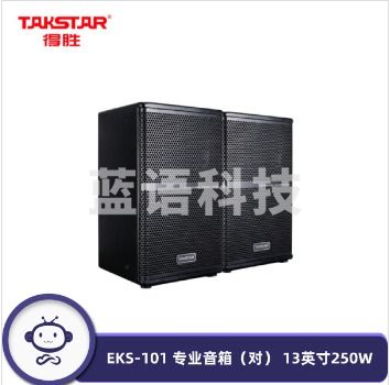 得胜（TAKSTAR） EKS-101 专业音箱（对） 13英寸250W专业音箱音响系统