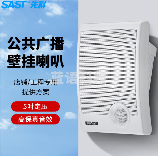 先科A2壁挂音响挂式喇叭 15w
