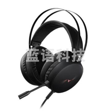 雷柏VH310耳机耳麦 电脑台式 7.1声道带麦克风 PJ.983