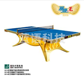 双鱼（DOUBLE FISH）乒乓球桌室内展翅王金色不带灯室内乒乓球台训练比赛用乒乓球案子