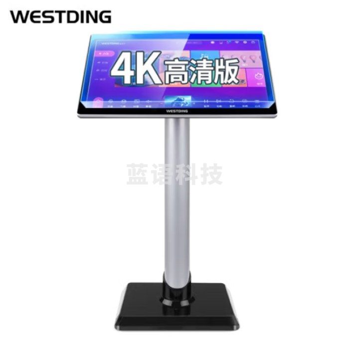 威斯汀(WESTDING)T9专业点歌机2T版