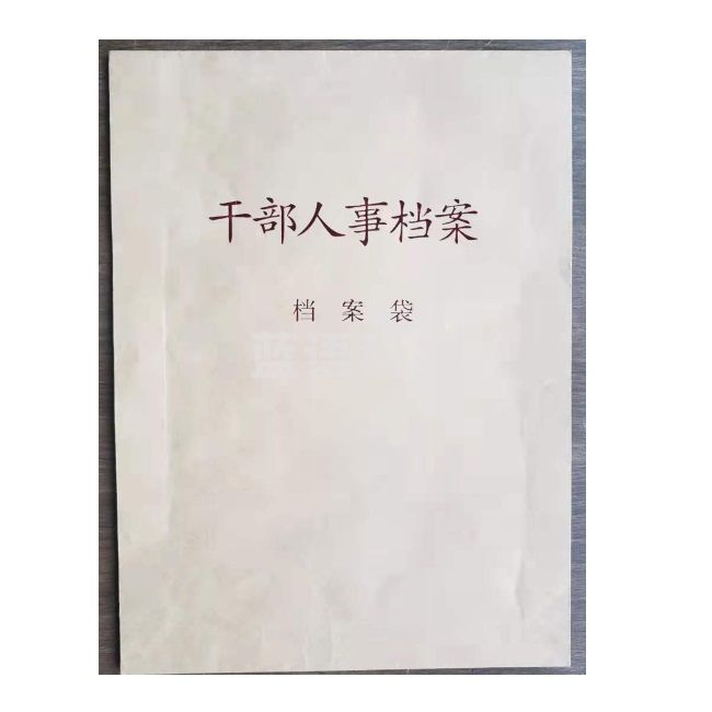 档案专用转档袋45mm 10个/组