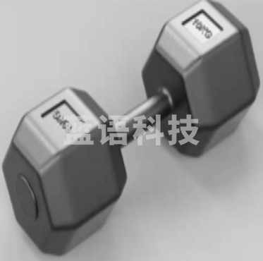 10公斤 六角哑铃