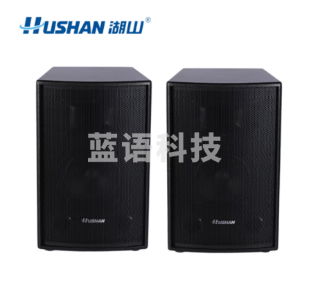 湖山(HUSHAN) 会议音箱套装组合 智能专业音响设备 BS80A