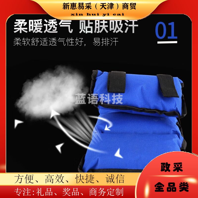 沙袋绑腿男女跑步绑手负重瑜伽健身运动舞蹈训练儿童学生跑步沙袋2kg (两只装)每只1kg
