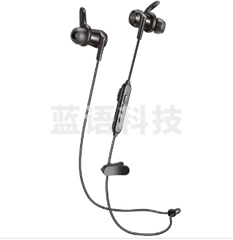 得胜（TAKSTAR）DW1 入耳式无线运动蓝牙耳机 手机耳机 磁吸入耳式耳机 音乐耳机 超长续航 哑光黑