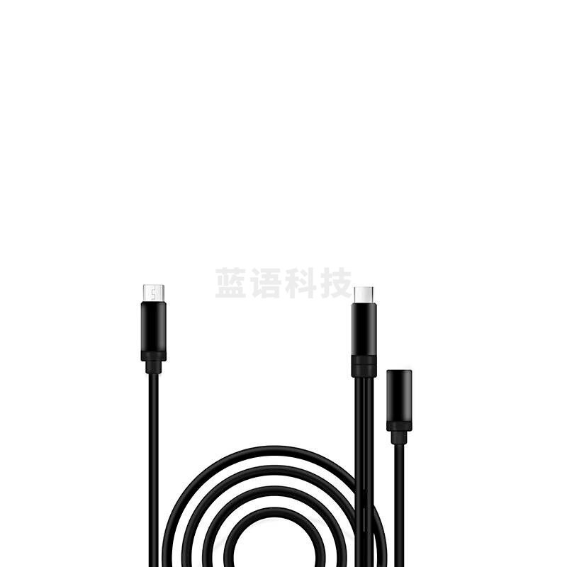 得胜 C2-4 麦克风声卡设备连接专用配件 Type-C OTG接口的声卡专用 计价单位:个