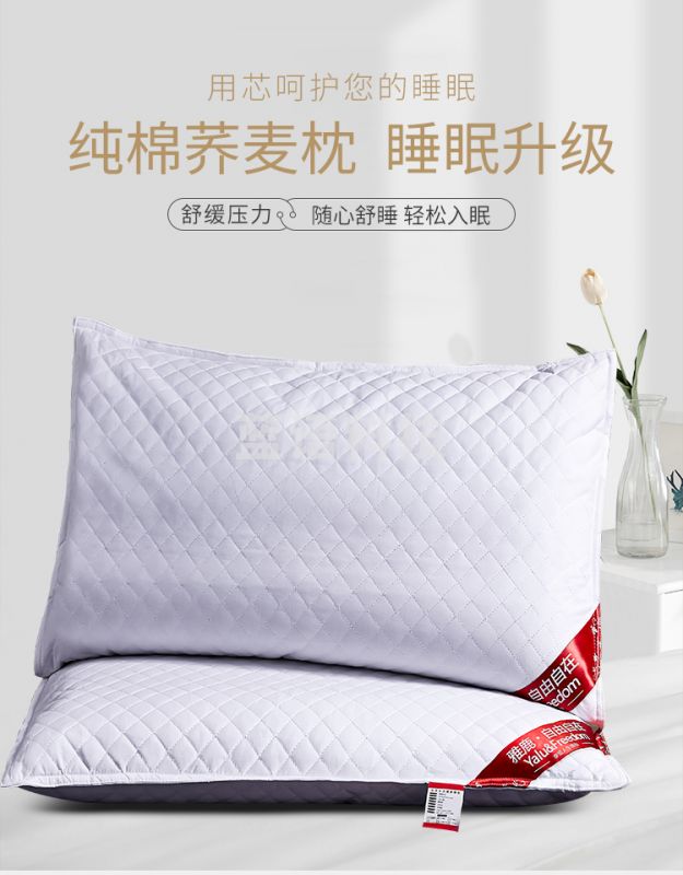 雅鹿·自由自在 全棉荞麦枕头枕芯100%荞麦皮填充约5斤单只装46*72cm纯白色