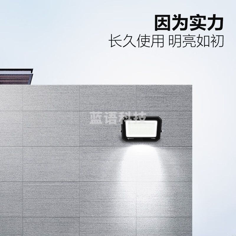 公牛（BULL）LED投光灯庭院灯工地灯园林照明露营灯 IP65防水100W-6500K白光