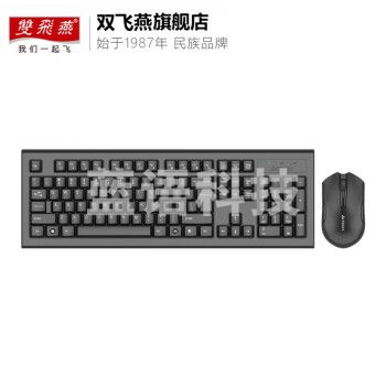 双飞燕(A4TECH)3000N无线键鼠套装防水办公用商务家用USB台式机电脑笔记本外接无线键鼠套装 3000N 无线节能省电键鼠套装 无光