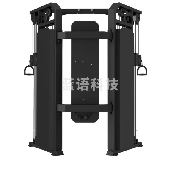 睿致 SA919小飞鸟龙门架引体向上力量综合训练器健身房专用商用