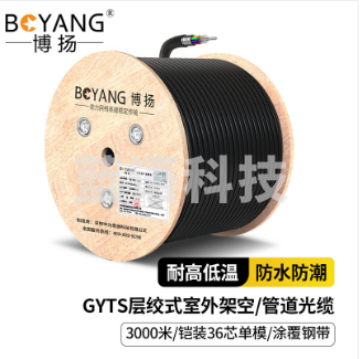 博扬（BOYANG）铠装36芯单模室外光缆 GYTS层绞式架空/管道光纤线 3000米 BY-GYTS-36B1.3-3KM
