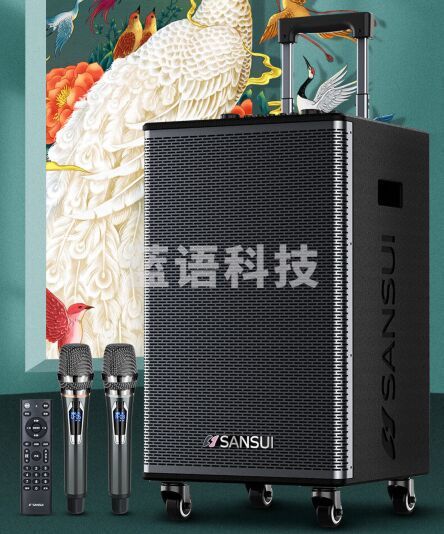 山水(SANSUI)户外K歌专用音响 广场舞便携拉杆音响 室外演出大功率重低音智能音箱 带无线麦克风 E10pro