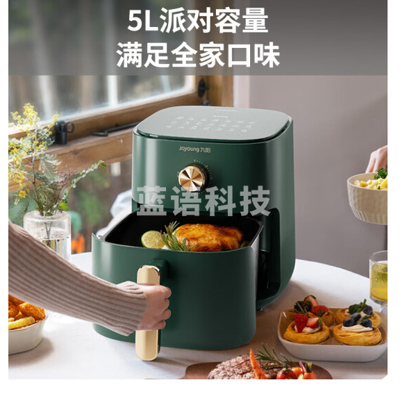九阳（Joyoung）空气炸锅 家用智能 5L大容量 不沾易清洗 准确定时无油煎炸 薯条机 KL45-VF501