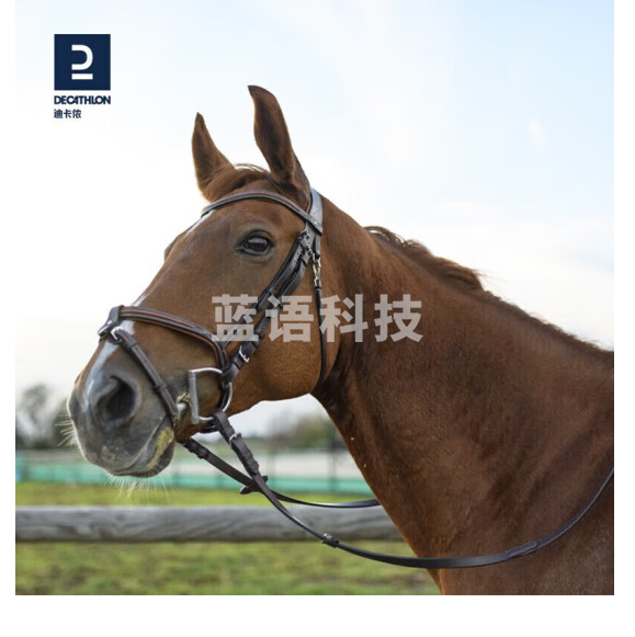 迪卡侬水勒缰绳马缰绳马术装备牛皮马匹装备马术用品马具骑马IVG3棕色PS,-适用小马均码-2387002