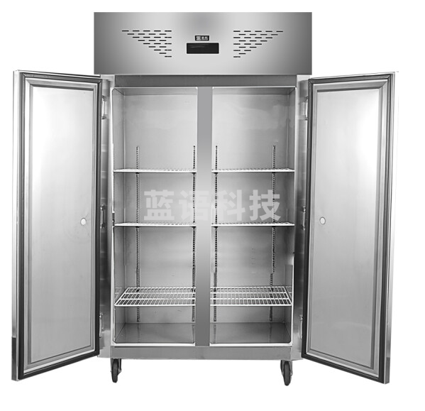 圣托（Shentop）大容量保鲜柜双开门 商用厨房立式冰柜 学校饭堂大型冷冻冰箱 STL-GK22 1000升