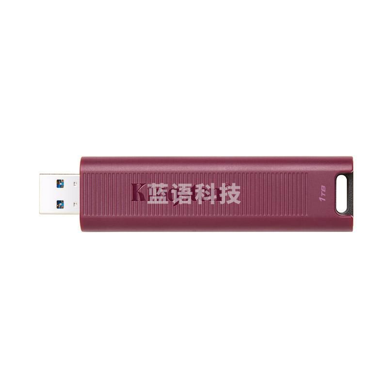 1101154517EA 金士顿 DTMAXA U盘 USB3.2 Gen2接口 1TB 玫红色