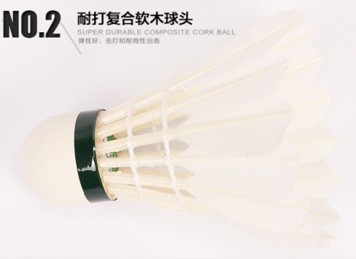 尤尼克斯YONEX羽毛球AS-05耐打yy训练鸭毛 12只装