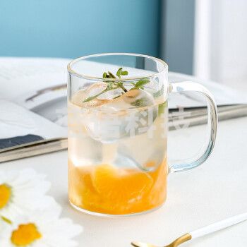 玻璃杯直杯耐热玻璃泡茶杯花茶杯子带把家用水杯子 300ML