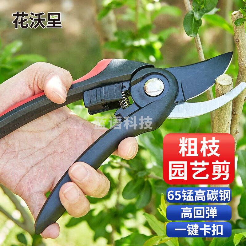 花沃里 园艺剪刀 果树剪修枝剪到省力剪子园林盆栽花卉绿植修剪树枝剪粗枝花木剪1把