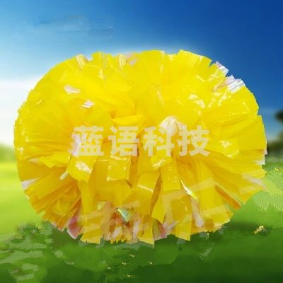 奥展 啦啦队花球 手花M&C24397