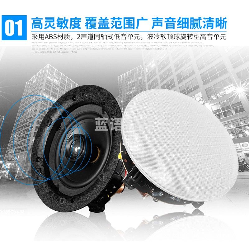 新科（Shinco） 定压定阻天花喇叭吸顶音响纯铜同轴高音喇叭背景音乐广播喇叭家用会议音响 M2（5英寸）