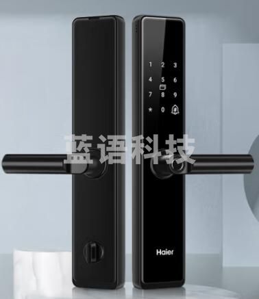 海尔（Haier）HFH-16E-U1 智能锁指纹锁 智能门锁 手机远程解锁入户门木门密码锁防盗门 电子门锁