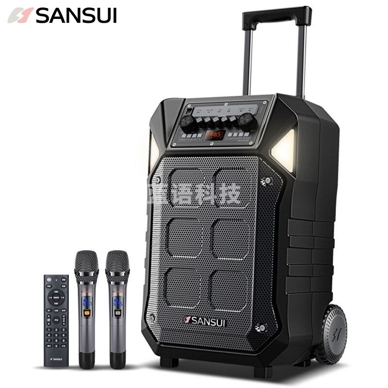 山水 SANSUI D15 15英寸户外广场舞拉杆音响蓝牙室外演出大功率重低音演出级移动k歌音箱带无线麦克风