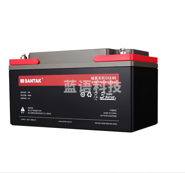 山特（SANTAK）UPS不间断电源城堡铅酸蓄电池C12-65AH 12V65AH阀控密封免维护