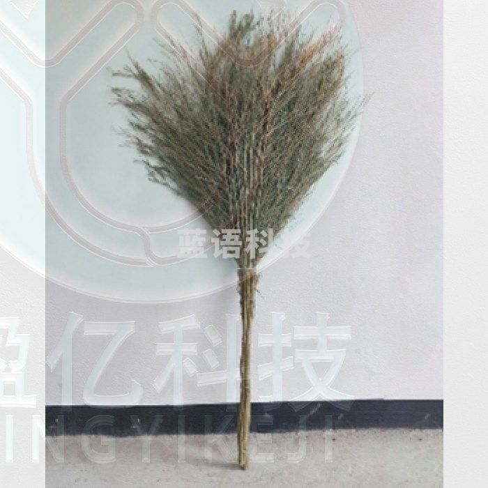 卫益升 手工竹制大扫把扫帚 4斤连体 QJ.462