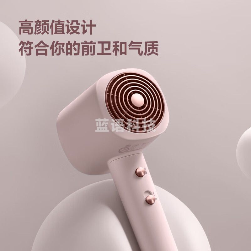 飞科（FLYCO） 电吹风机家用 便携负离子大功率护发吹风筒大风量速干低噪音FH6356