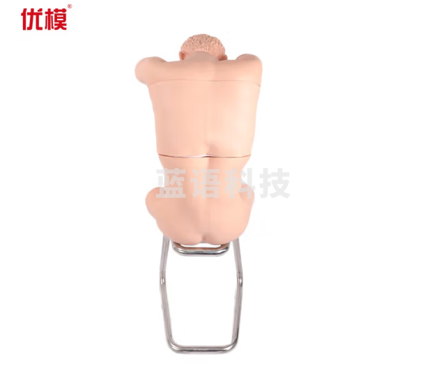 优模CK812背部胸腔穿刺电子标准化病人电子监测穿刺错误有语言提示胸腔穿刺医学用模拟人