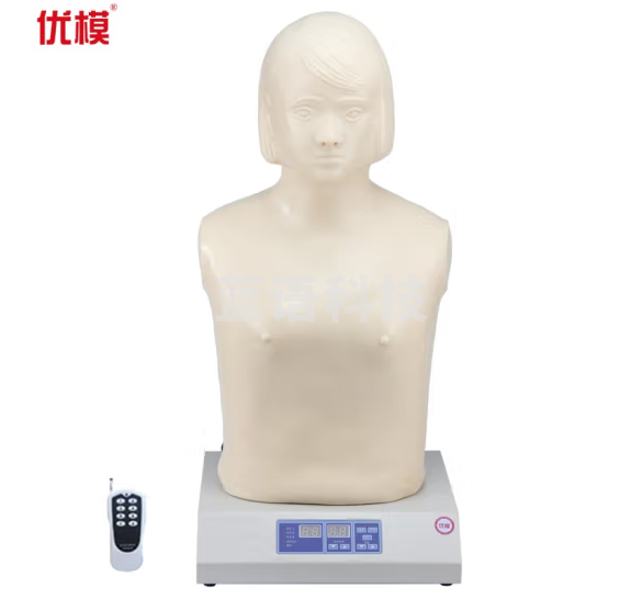 优模YOMO/Z990数字遥控式胸部心肺听诊模拟人心肺听诊触诊模拟人检查教学模型模拟