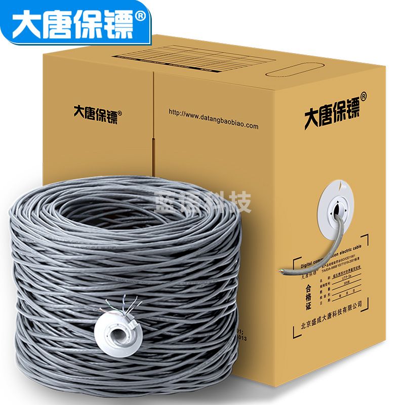 大唐保镖 DT2900-5超五类网线国标无氧铜非屏蔽监控305米