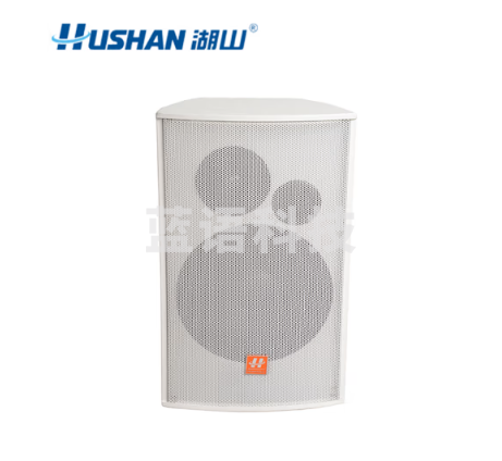 湖山（HUSHAN） 音箱话筒组合套装 专业会议音响设备 音箱HY100C