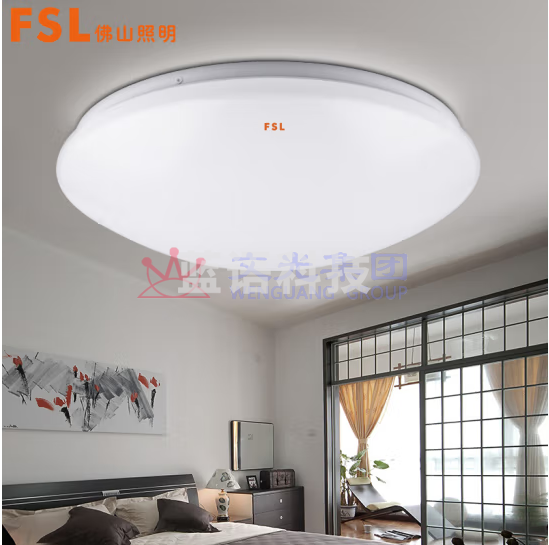 佛山 LED吸顶灯13W 全白.