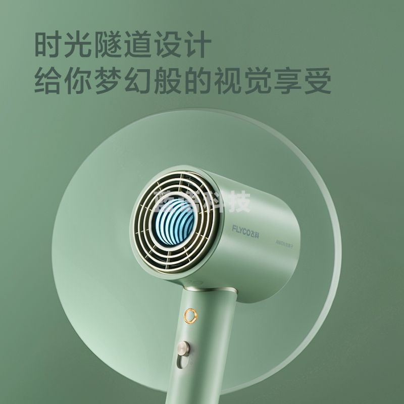飞科（FLYCO） 电吹风机 柔风负离子恒温护发家用宿舍用冷热大风量快速干发低噪音吹风筒FH6310